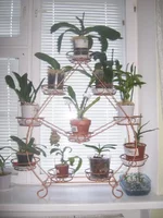  для цветов 068.webp