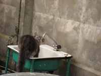  в Абхазии.webp