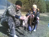 29032008(015).webp