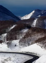 IMGP2127_1.webp