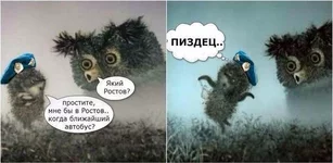 Bv_GbAaCcAA85Bl.jpg