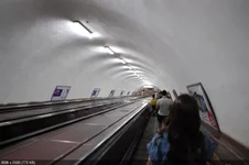806668d178f63e9ed65e1646bf2dc87f.webp