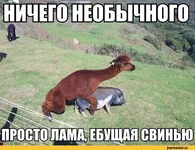 %D0%BC%D0%B0%D0%BD%D1%82%D0%B8%D0%BA%D0%B0-1028768.jpg