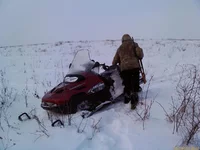 IMAG0336.webp