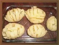 гассель.jpg