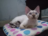 P1010226.webp