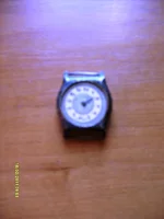 S6300268.webp