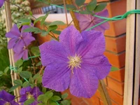  291.webp