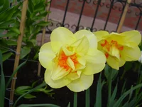  053.webp