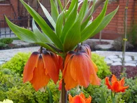  075.webp