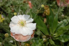 DSC_0117.webp