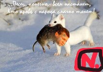 001ykhg5.jpg