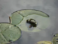 DSC01087.webp