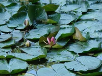 DSC01088.webp