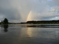 DSC01102.webp