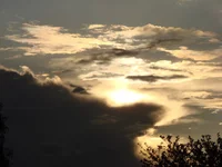 DSC01108.webp