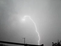 DSC00939.webp