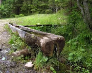 rodnichok.webp
