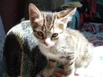 DSC03032_resize.webp