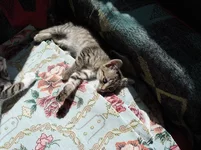 DSC03056_resize.webp