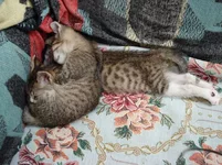 DSC03067_resize.webp