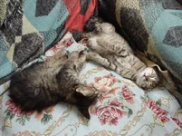 DSC03096_resize.webp