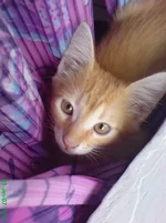 DSC00678_.webp
