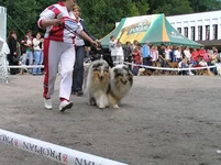 P7070142.webp