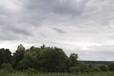 _7095174.jpg