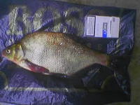 ф_070708_123817.jpg