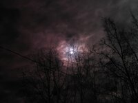 IMG_4439.jpg