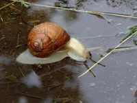 DSCF1191.webp