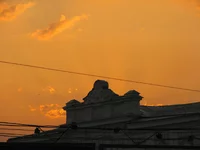 IMG_1339.webp