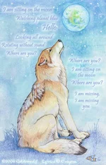 Sitting_On_The_Moon_by_Goldenwolf.jpg