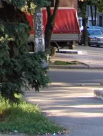 1a.webp