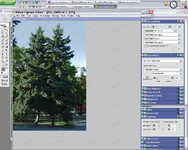 -1.webp