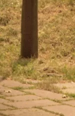 2 2400дпи__461 на 711 точек.webp