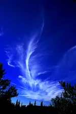 .webp