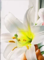 4 полный Марафон 1800 дпи.webp