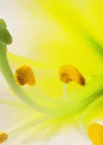 4 Марафон 1800 дпи.webp