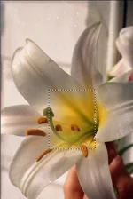 5 полный Эпсон 2580 4800 дпи.webp