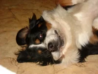  и веки такие тяжелые....webp