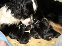  это у меня тут такоэ!.webp