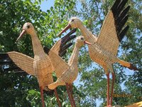 schtiel_2661.jpg