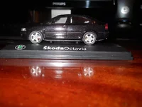 DSCN0232.webp