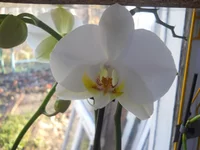  132.webp