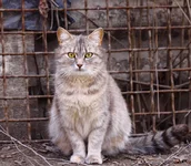 DPP_0095.webp