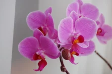  (1).webp