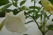  (5).webp
