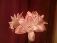 Photo-0223.webp